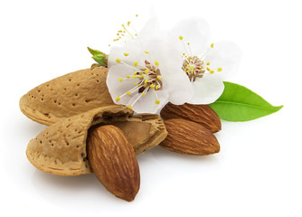 Almonds with flowers