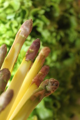 Asperges & salade