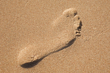 Fototapeta na wymiar Footprint on a sandy beach background