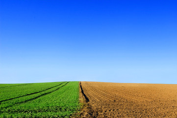 Green and plowed field conceptual image.