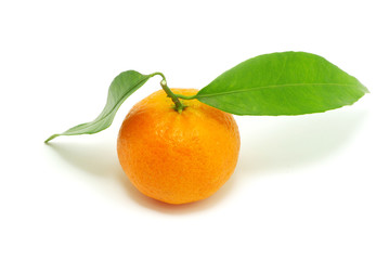 tangerine