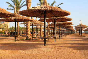 Tuinposter Beach parasols - Egypt © Patryk Kosmider