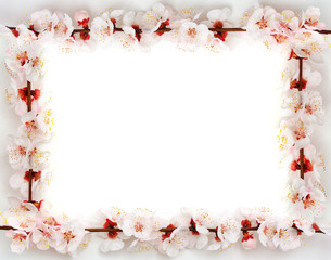 Frame from sakura © GIS