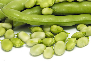 broad bean