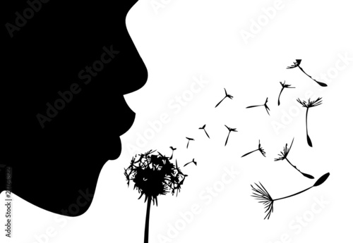 &quot;Pusteblume&quot; Stockfotos und lizenzfreie Vektoren auf