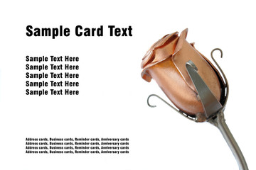 Metal rose with white space isolated on white