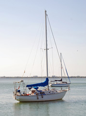 Sailboats at Anchor on the Florida Intercoastal