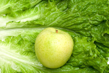 レタスの上の青リンゴ