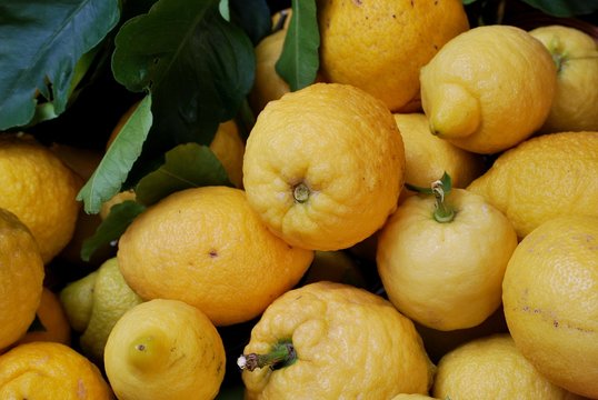 limoni