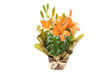 lily bouquet of flowers