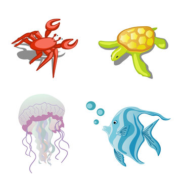 Sea animals crab, jellyfish, turtle and fish