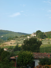 Fototapeta na wymiar Villa in Tuscany amongst vineyards and an olive groves