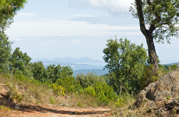Fototapeta premium Massif des Maures