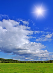 Summer landscape