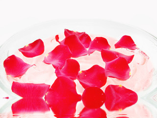 water for spa with rose petals