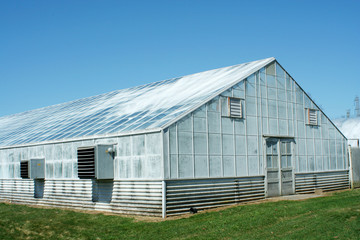 Fototapeta na wymiar A green house with blue sky