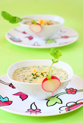 summer cold soup( okroshka)