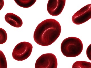 isolierte Blutkörperchen