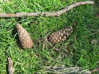 Parc floral Vincennes