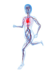 rennender Mensch mit markiertem Herzen