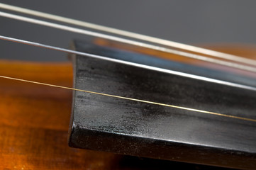 Detail des Griffbretts einer Geige