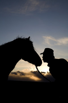 Man Kissing Horse