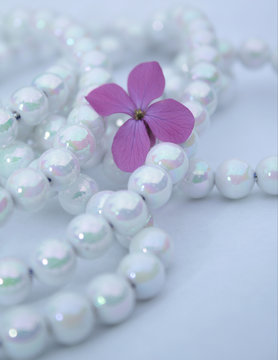 Beauty pearls and flower