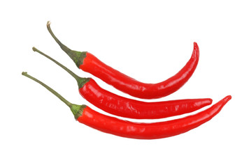 Red hot chili pepper on white