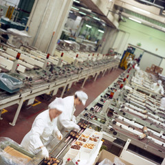 production line in a food industry