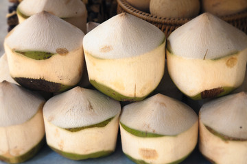 Fresh coconuts ready to drink