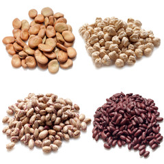 legumes collection on white background