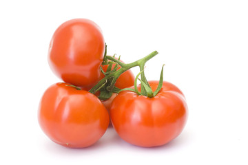 fresh tomatoes