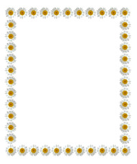 beautiful flower frame