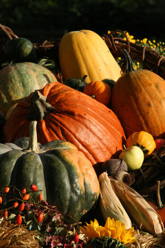 herbst_02