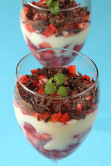 Strawberry and chocolate dessert with vanilla custard and cream