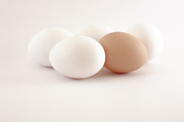 eier, ei, eggs