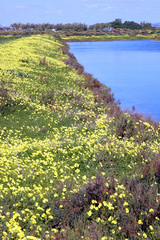 Marismas de San Fernando,Cádiz,Andalucia