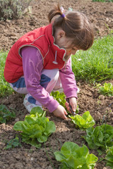 child with knife picks salad