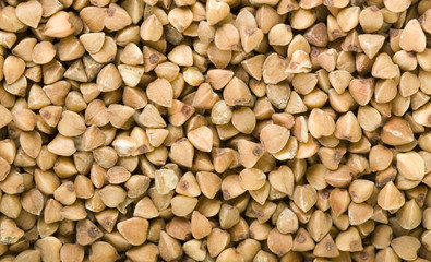 Buckwheat Background