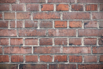 Old Brick Wall