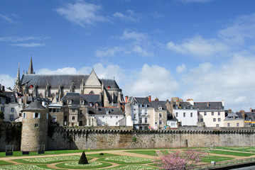 Fototapety na wymiar - Fototapeta24.pl