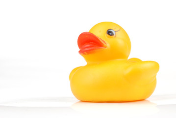 rubber duck