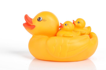 rubber duck