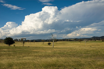 An Approaching Storm