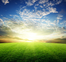 field of grass and sunset