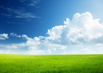 field of grass and perfect sky