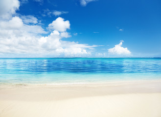 Fototapeta premium sea and sand