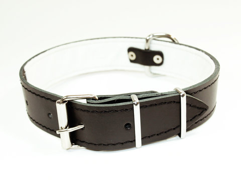 Black leather collar for dog