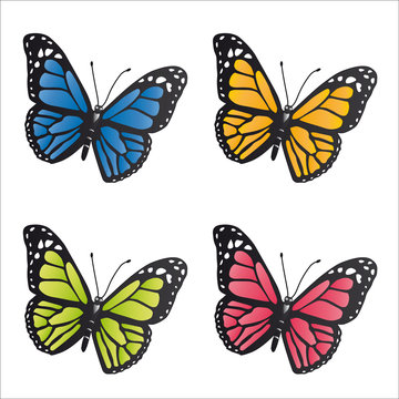 4 Papillons