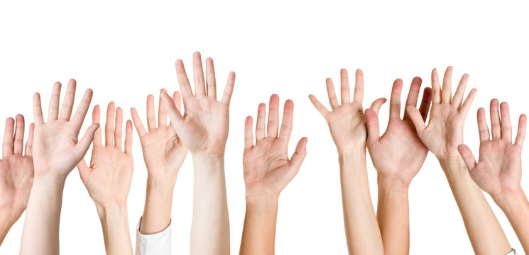 hands isolated